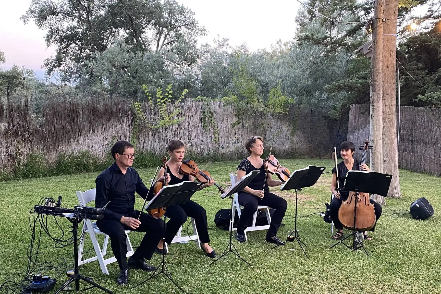 A string quartet playing on the lawn
