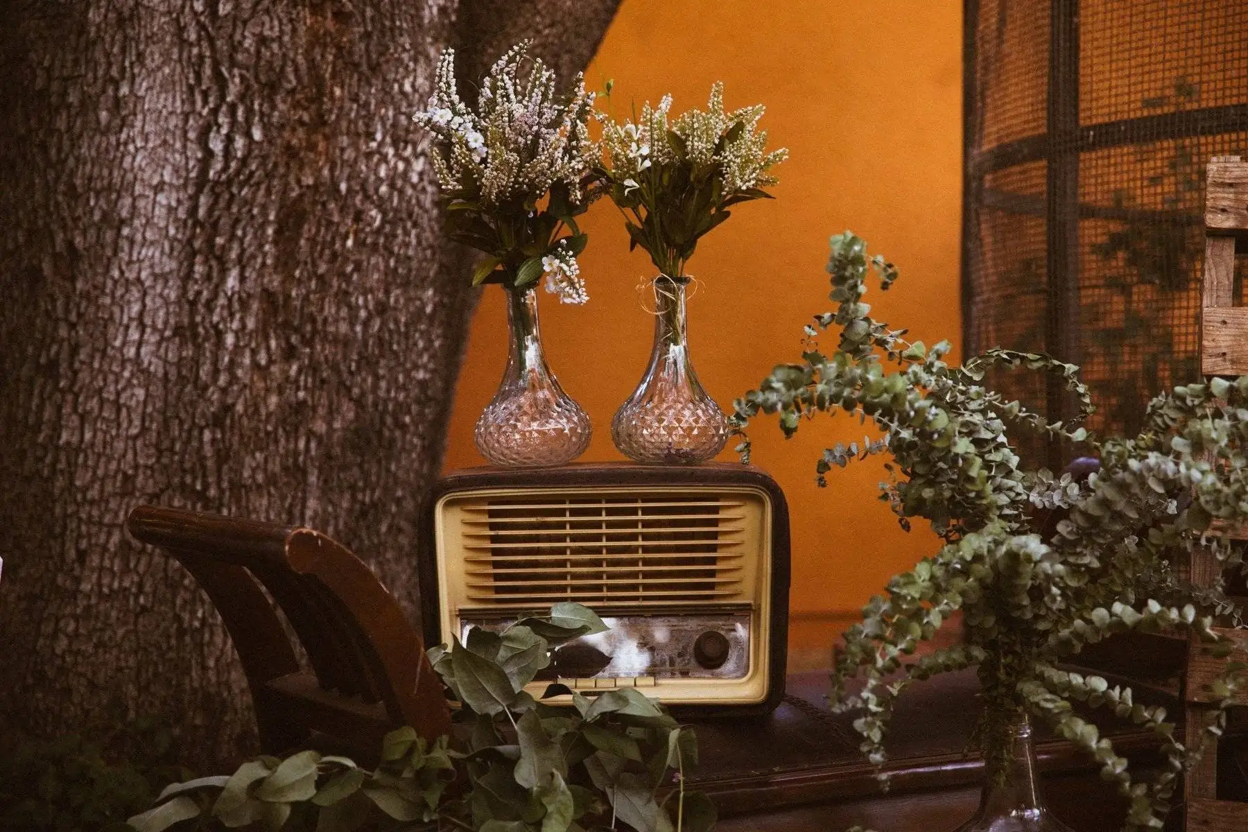 A vintage radio and two vases of flowers beside an oak trunk